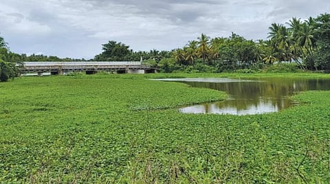 ஆனைமலை அருகே ஆழியாறு ஆற்றில் கழிவுநீர் கலப்பதை தடுக்க கோரிக்கை
