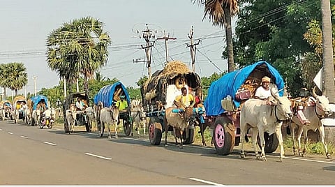 ராஜபாளையத்தில் உள்ள குலதெய்வக் கோயிலுக்கு மாட்டு வண்டியில் 15 நாட்கள் பயணமாக சென்றுவிட்டு கமுதிக்கு திரும்பி வந்த 56 கிராம மக்கள்.