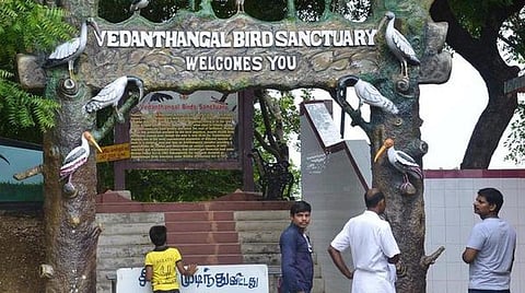வேடந்தாங்கல் பறவைகள் சரணாலயத்துக்கு 77,000 சுற்றுலா பயணிகள் வருகை