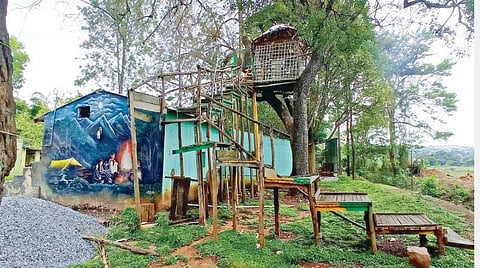அய்யூர் இயற்கை சுற்றுச்சூழல் பூங்காவில் போதிய பராமரிப்பு இல்லாமல் சேதமடைந்துள்ள  மரக்குடில்.