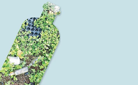 சூளகிரி அருகே ஒமதேப்பள்ளி கிராமத்தில் உள்ள புதினா வயலில் வீசப்பட்டுள்ள மதுபாட்டில்கள்.