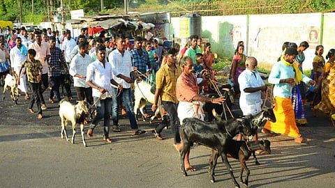 குலதெய்வ வழிபாட்டுக்காக 10 கி.மீ. தூரம் நடந்து சென்ற சிவகங்கை கிராம மக்கள்