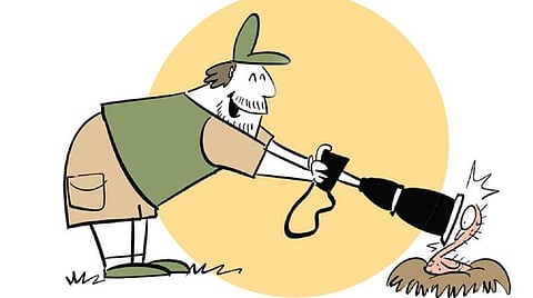 படம் எடுப்பதற்காக வதைக்கலாமா?