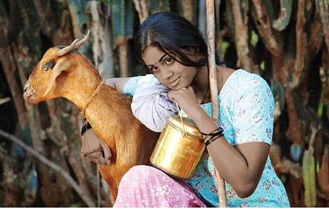 கிராமத்து அத்தியாயம் - 19: முட்டைகோஸ்