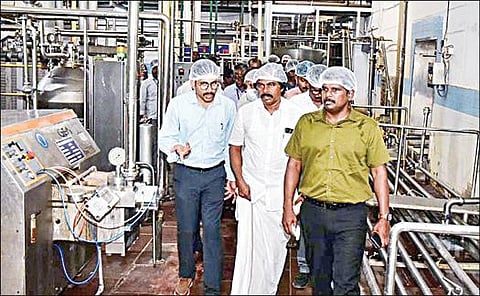 திருச்சி கொட்டப்பட்டு ஆவின் நிறுவனத்தில் நேற்று ஆய்வு செய்த பால்வளத் துறை அமைச்சர் மனோ தங்கராஜ். உடன், மாவட்ட ஆட்சியர் மா.பிரதீப்குமார், பால் உற்பத்தி மற்றும் பால்பண்ணை மேம்பாடு, நிர்வாக துறை இயக்குநர் வினித் உள்ளிட்டோர்.  படம்: ர.செல்வமுத்துகுமார்
