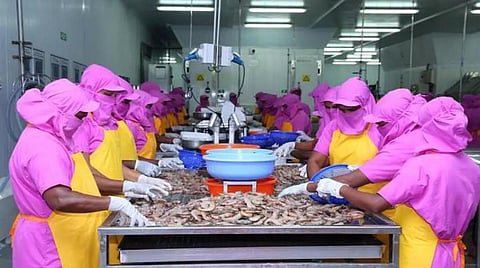 இந்தியாவிலிருந்து ரூ.63,969 கோடிக்கு கடல் உணவு பொருட்கள் ஏற்றுமதி