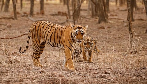 கோப்புப்படம்