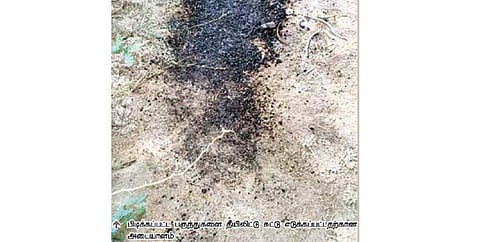பேட்டையில் பருந்து வேட்டை - காரணமானவர்களை பிடிக்குமா வனத்துறை?
