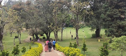 கொடைக்கானல்