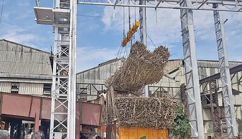 அமராவதி கூட்டுறவு சர்க்கரை ஆலையில் அரவைக்காக லாரியில் இருந்து இறக்கப்படும் கரும்பு.