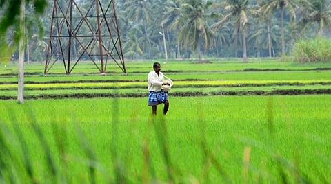 குறுவை, சம்பா பயிர்களுக்கு கூட்டுறவு சங்கங்களில் தேவையான உரம் இருப்பு உள்ளது - அமைச்சர் பெரியகருப்பன் தகவல்