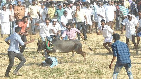 கோப்புப்படம்