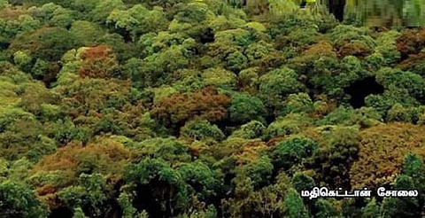 கொடைக்கானலின் ‘மர்ம தேசம்’ மதிகெட்டான் சோலை!