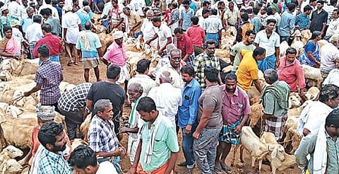 கொங்கணாபுரம் சந்தையில் விற்பனைக்கு கொண்டு வரப்பட்ட ஆடுகள்.