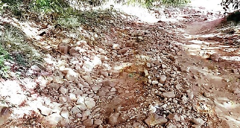 எலந்தம்பட்டு கிராமத்துக்கு செல்லும் கரடுமுரடான மலைப்பாதை