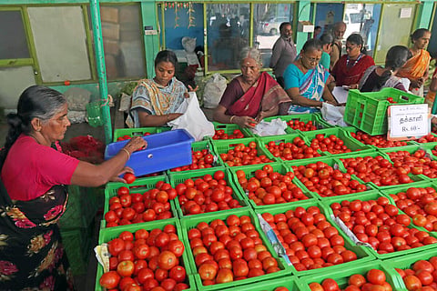''தக்காளி விலையை குறைக்க ஆலோசனை கூறுங்கள்'' - பொதுமக்களுக்கு மத்திய அரசு அழைப்பு