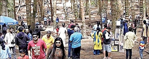 கொடைக்கானல் பைன் ஃபாரஸ்ட் பகுதியில் நேற்று திரண்ட சுற்றுலாப் பயணிகள்.