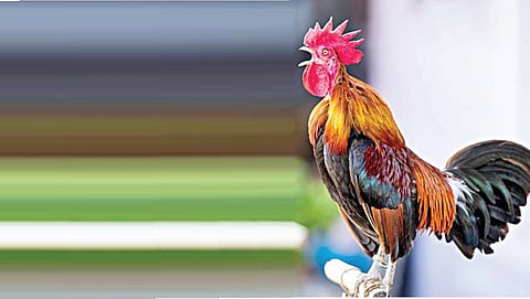 கதைக் குறள் - 32: அம்மா கவிஞரானது எப்படி?