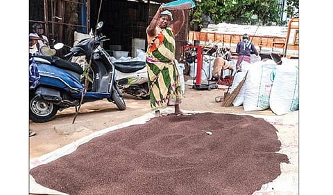 திருச்சி காந்தி மார்க்கெட் எள் கமிஷன் மண்டியில் விற்பனைக்கு வந்துள்ள எள்ளை தூய்மை செய்யும் பணியாளர். |  படம்: ர.செல்வமுத்துகுமார்