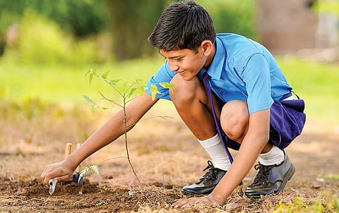 கற்றல் என்பது புத்தகம் மட்டும்தானா?