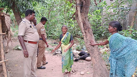 தஞ்சாவூர்: 6 ஆட்டுக் குட்டிகள், 4 ஆடுகள் மர்மமான முறையில் உயிரிழப்பு