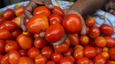 ஸ்மார்ட் போன் வாங்குவோருக்கு 2 கிலோ தக்காளி இலவசம்
