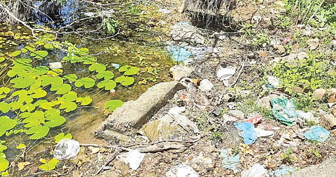 ஊசுட்டேரி படகு குழாமில் சேர்ந்துள்ள பாலித்தீன் குப்பைகள்.