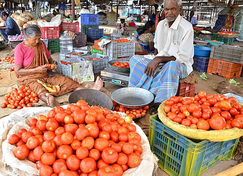 ‘இதுவும் கடந்து போகும்... எங்களை விமர்சிக்காதீர்..!’ - ஆதரவுக் கரம் தேடும் தக்காளி விவசாயிகள்