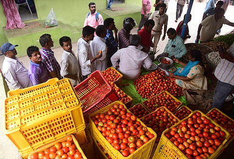 மகாராஷ்டிரா மாநிலத்தில் ஒரே மாதத்தில் தக்காளி விற்று கோடீஸ்வரரான விவசாயி