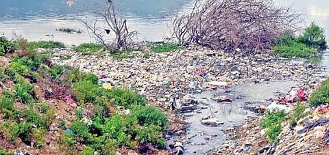 மினி கூவமாக மாறி வரும் திருப்பத்தூர் பெரிய ஏரி - மீட்கப்படுமா நகரின் அடையாளம்?