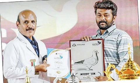 அழியும் நிலையில் மதுரை கட்டை மூக்கு புறா - பாதுகாக்க போராடும் இளைஞர்!