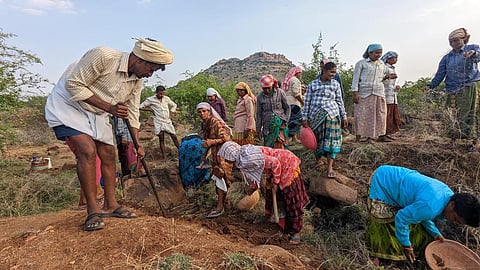 100 நாள் வேலைத் திட்டத்தில் இருந்து ஒரே ஆண்டில் 5 கோடி பணியாளர்கள் நீக்கம்: மக்களவையில் மத்திய அரசு தகவல்