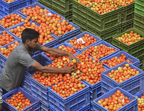 தக்காளி விலை மீண்டும் அதிகரிப்பு: கோயம்பேடு சந்தையில் கிலோவுக்கு ரூ.30 உயர்ந்து ரூ.140-க்கு விற்பனை