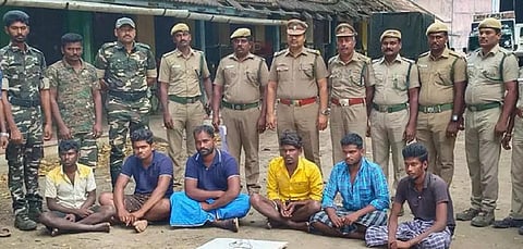 மானுக்கு வைத்த கண்ணியில் சிக்கி புலி உயிரிழப்பு