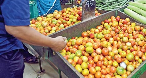 அமைச்சர் அறிவிப்புக்கு மாறாக பண்ணை பசுமை அங்காடியில் அதிக விலைக்கு தக்காளி விற்பனை @ தூத்துக்குடி