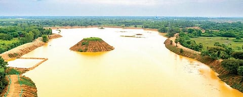காரைக்குடி அருகே பறவைகள், விவசாயத்துக்காக தீவுடன் அமைக்கப்பட்ட கண்மாய்