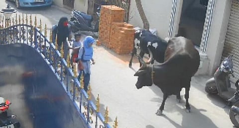 பிரதிநிதித்துவப் படம்.