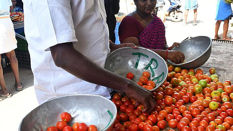 கோயம்பேடு சந்தையில் தக்காளி விலை ரூ.50 ஆக குறைந்தது