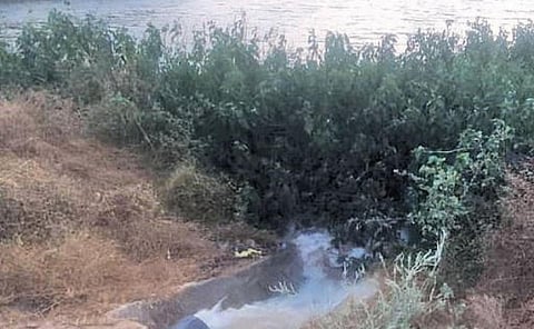 கோவை, ஈரோடு, திருப்பூரில் அத்திக்கடவு - அவிநாசி திட்டத்தின் கீழ் 906 குளங்களில் சோதனை ஓட்டம் நிறைவு