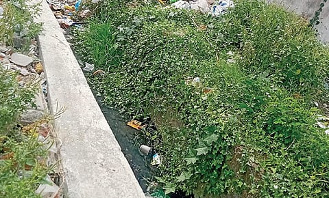 காஞ்சிபுரம் சாலபோகம் தெருவில் புதர் மண்டிய நிலையில் இருக்கும் மழைநீர் கால்வாய்.
