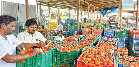 திருப்பூரில் தக்காளி கிலோ ரூ.40-க்கு விற்பனை