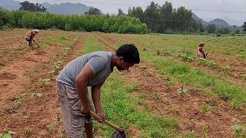 தினக்கூலியில் இருந்து மருத்துவக் கல்லூரி வரை - ஒடிசா பழங்குடியின இளைஞரின் அசாத்திய பயணம்