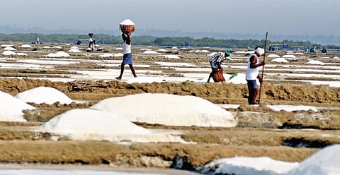 திண்டிவனம் தொகுதியில் தீர்க்க முடியாத 10 கோரிக்கைகள் - அதிமுக எம்எல்ஏ குற்றச்சாட்டு