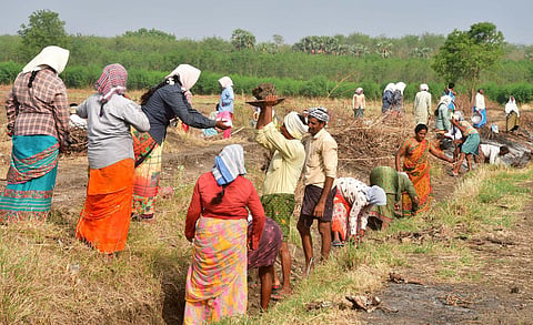 தருமபுரி | ஊரக வேலை நிலுவை ஊதியத்தை வட்டியுடன் வழங்கக் கோரிக்கை - விவசாய தொழிலாளர் சங்கம் கோரிக்கை