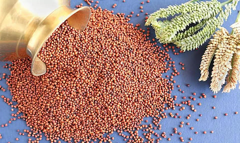 நவம்பர் 9, 10-ம் தேதிகளில் சர்வதேச சிறுதானிய மாநாடு: ஒடிசா அரசு நடத்துகிறது
