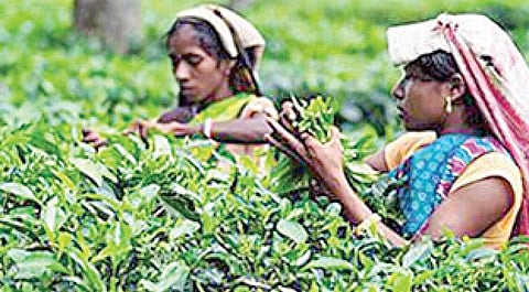 கதைக் குறள் - 41: அகத்தின் அழகே அழகு!