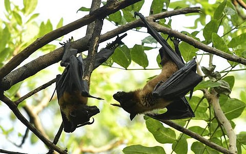 கோப்புப்படம்