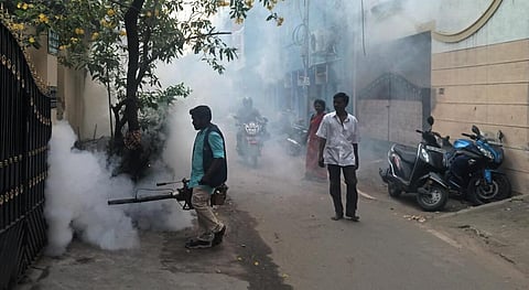புதுவையில் டெங்கு பாதிப்பால் 2 பெண்கள் உயிரிழப்பு