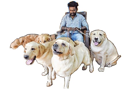 மதுரையிலிருந்து வெளிநாடு செல்லும் நாய் குட்டிகள்: தொழில்முனைவோராக சாதித்து வரும் இளைஞர்
