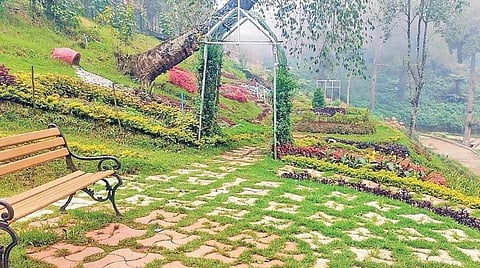 சுற்றுலா பயணிகளின் மனதை மயக்கும் கொடைக்கானல் பிரையன்ட் பூங்காவுக்கு வயது 115